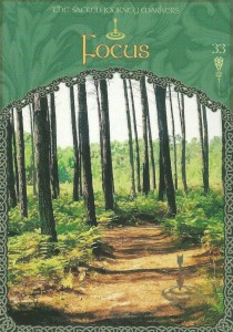 The “focus” card from Colette Baron-Reid’s The Wisdom of Avalon Oracle deck, was drawn to answer a reader’s question about not getting to do the things that matter by using the power of focus.